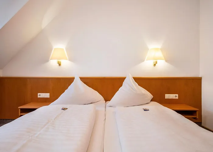 בית הארחה Adler 3*