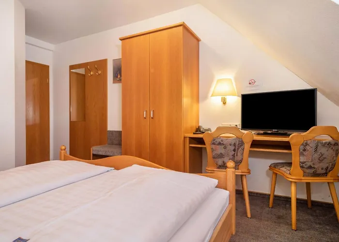 Adler בית הארחה